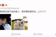 吃瓜娱乐张翰视频,揭秘明星幕后趣事