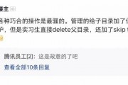娱乐吃瓜酱文件传输,揭秘文件传输背后的精彩故事